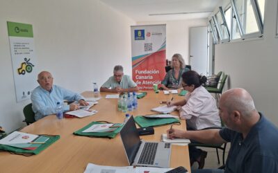 Licitada la compra de dos vehículos adaptados para iniciar la renovación de la flota